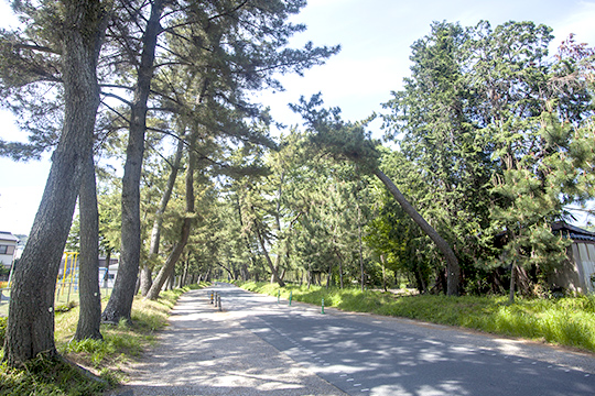 豊川市での暮らしの魅力
