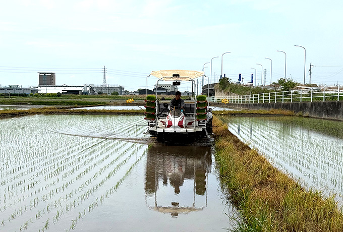 とりい農産の仕事